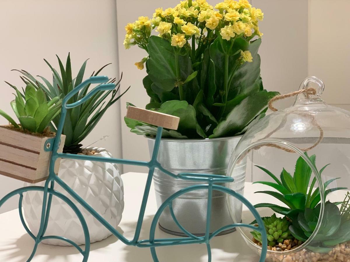 Apartament San Samuele